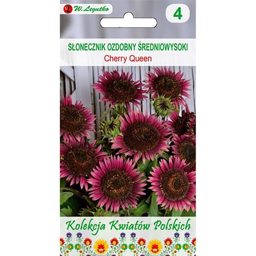 Dekoratīvā saulespuķe Cherry Queen - sarkana interface.image 1 interface.art 96749