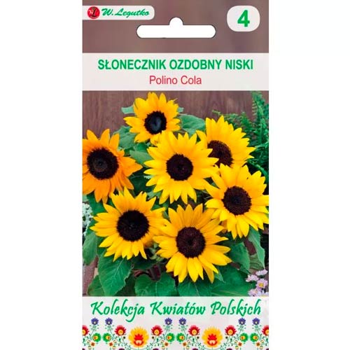 Dekoratīvā saulespuķe Polino Cola Legutko interface.image 1 interface.art 86735