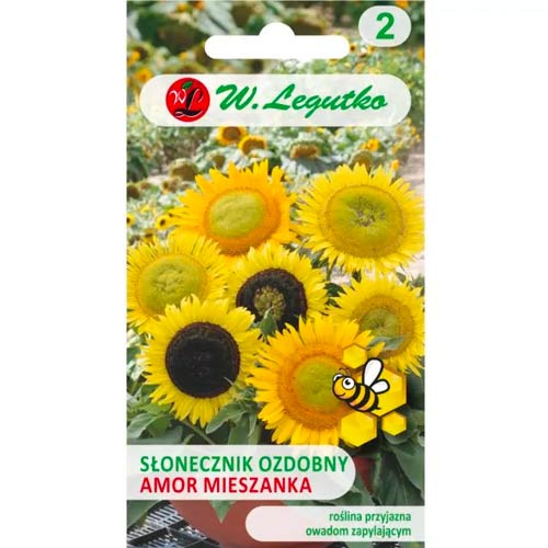 Dekoratīvās saulespuķes Amor Legutko interface.image 1 interface.art 78586