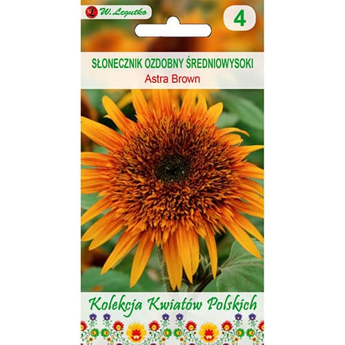 Dekoratīvās saulespuķes Astra Brown interface.image 1 interface.art 96746