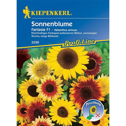 Dekoratīvās saulespuķes Fantasia F1 interface.image 1 interface.art 86320