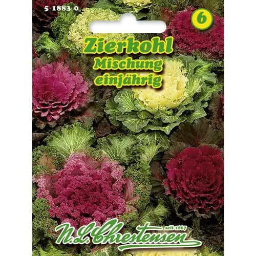 Dekoratīvie kāposti, maisījums interface.image 1 interface.art 96404