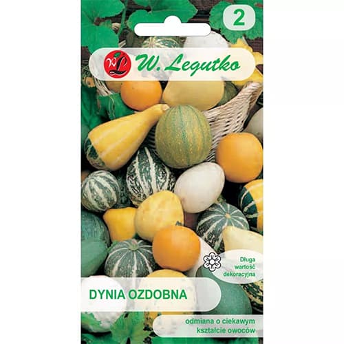 Dekoratīvie ķirbji Jaukti interface.image 1 interface.art 69584