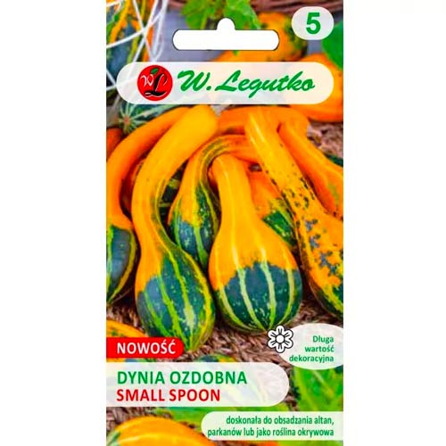 Dekoratīvie ķirbji Small Spoon Legutko interface.image 1 interface.art 96769