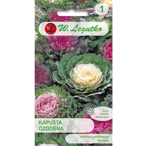 Dekoratīvo kāpostu, jaukt interface.image 1 interface.art 69596