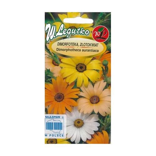 Dimorphotheca, Zeltainā pīlādzis hibrīds interface.image 1 interface.art 69581