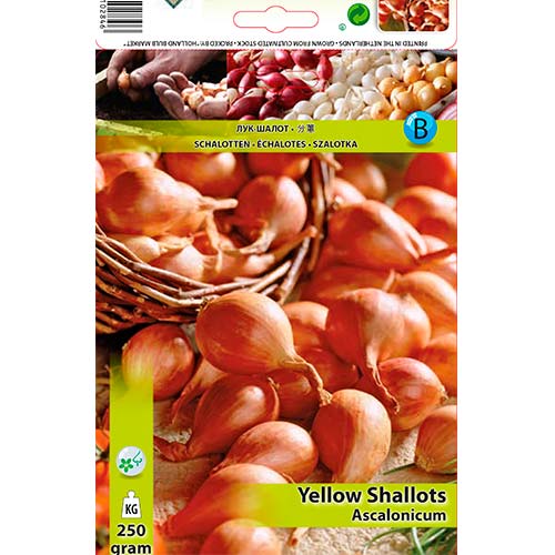 Dzeltenās šalotes interface.image 1 interface.art 70498