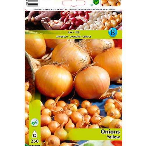 Dzeltenie sīpoli interface.image 1 interface.art 70496