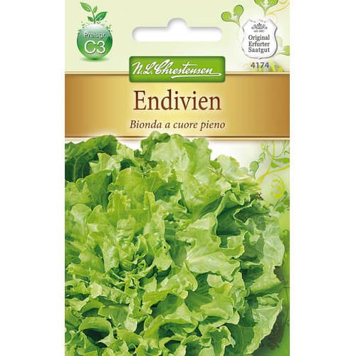 Endīvijas Bionda a cuore pieno interface.image 1 interface.art 78763