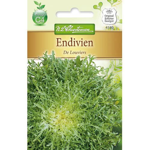 Endīvijas De Louviers interface.image 1 interface.art 78765