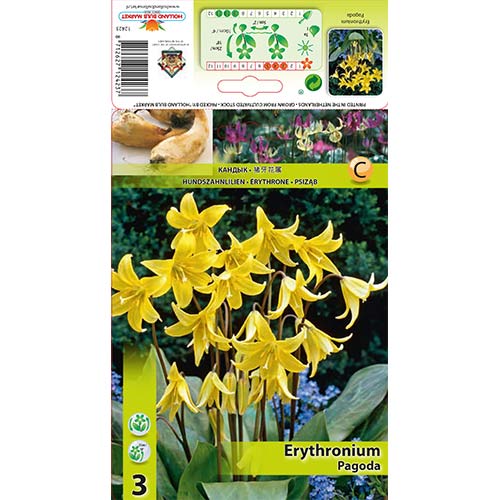 Eritronijas Pagoda interface.image 1 interface.art 67350