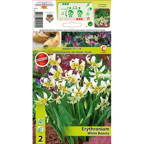 Eritronijas White Beauty interface.image 1 interface.art 67351