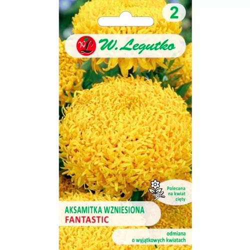 Fantastic dzeltens samta augs Legutko interface.image 1 interface.art 96692