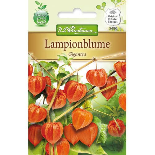 Fizāļi Gigantea Chrestensen interface.image 1 interface.art 78976