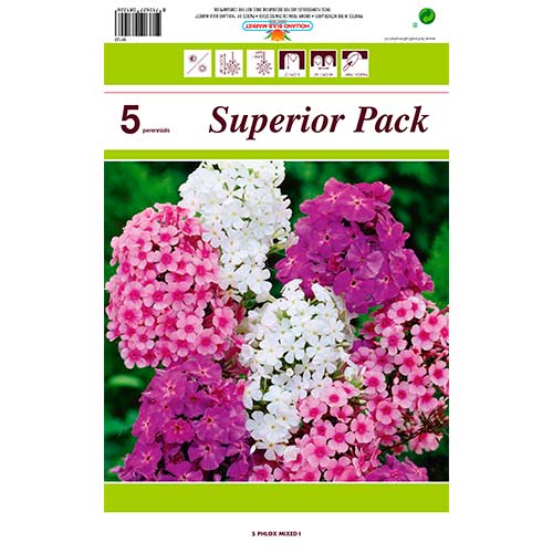 Floksis Mixed interface.image 1 interface.art 76491