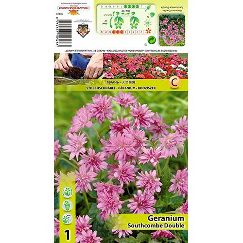 Gandrene Southcombe Double interface.image 1 interface.art 70391