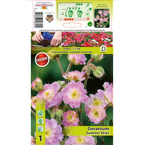 Gandrene Summer Skies interface.image 1 interface.art 76242