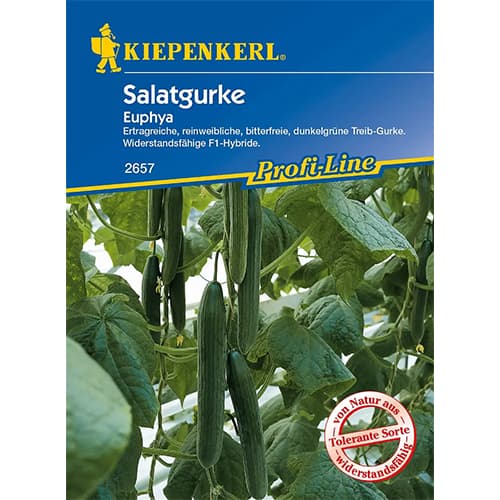 Garie gurķi Euphya F1 interface.image 1 interface.art 86521