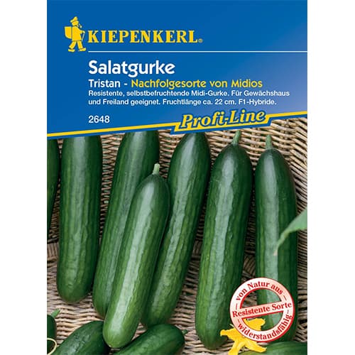 Garie gurķi Midele Kiepenkerl interface.image 1 interface.art 50023