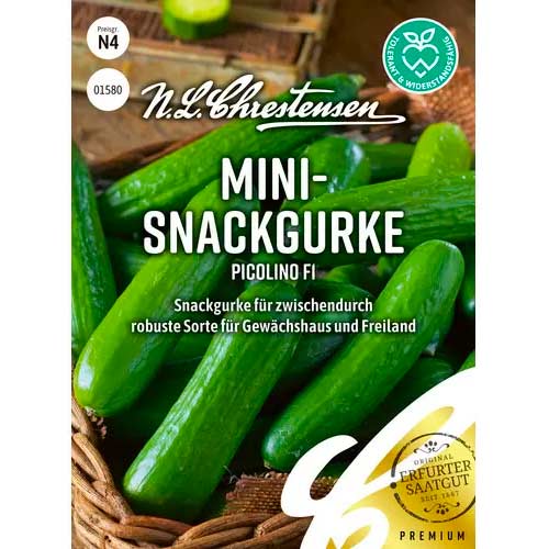 Garie gurķi Picolino F1 Chrestensen interface.image 1 interface.art 50051