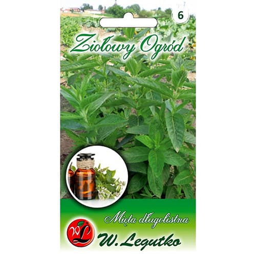 Garlapu piparmētra interface.image 1 interface.art 78707