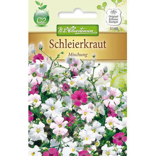 Ģipsenes Gypsophila, maisījums interface.image 1 interface.art 78912