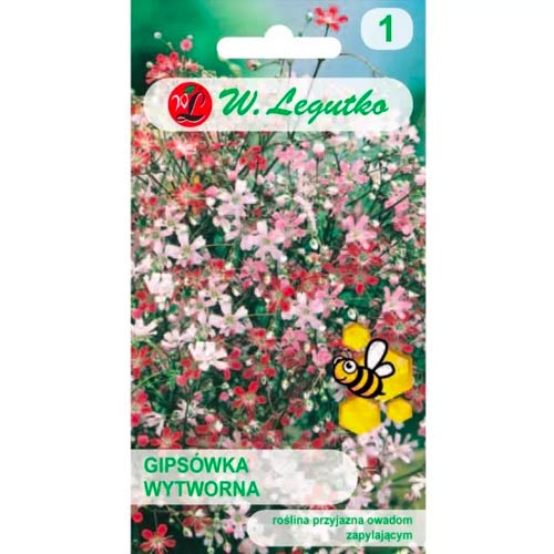 Ģipsenes Gypsophila rafinuotosios, maisījums Legutko interface.image 1 interface.art 78557