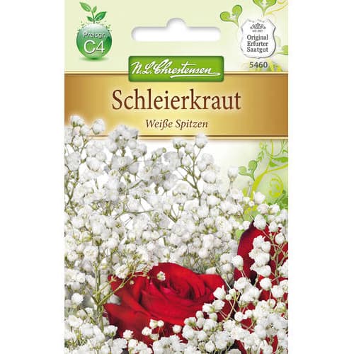 Ģipsenes Gypsophila Weise Spitzen interface.image 1 interface.art 78974