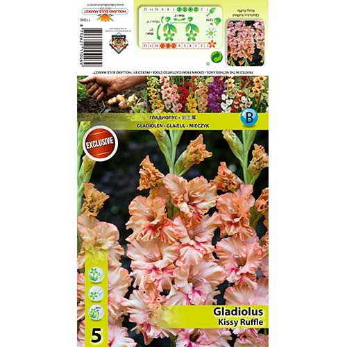 Gladiola Kissy Ruffle interface.image 1 interface.art 70396