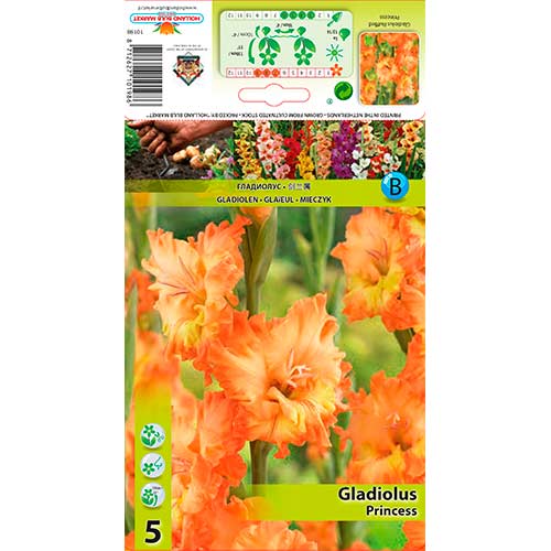 Gladiola Princess interface.image 1 interface.art 76252