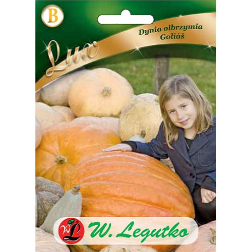 Goliáš skvošs interface.image 1 interface.art 86829