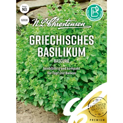 Grieķu baziliks Bascuro interface.image 1 interface.art 86005