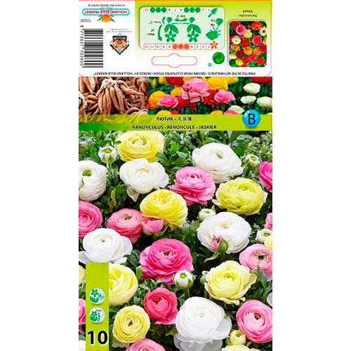 Gundegas Pastell, krāsu mix interface.image 1 interface.art 76356