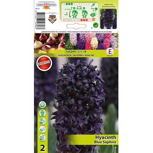 Hiacinte Blue Saphire interface.image 1 interface.art 67358