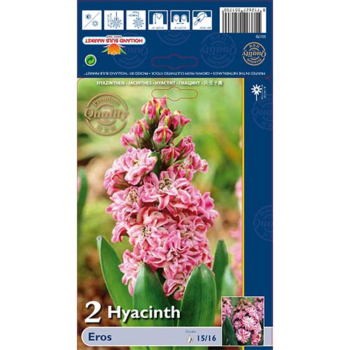 Hiacinte Eross interface.image 1 interface.art 67591