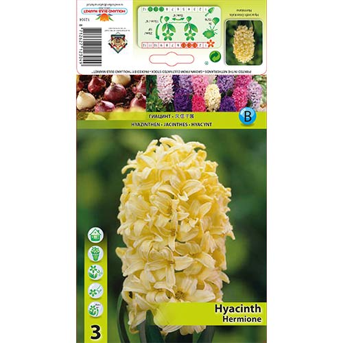 Hiacinte Hermione interface.image 1 interface.art 70271