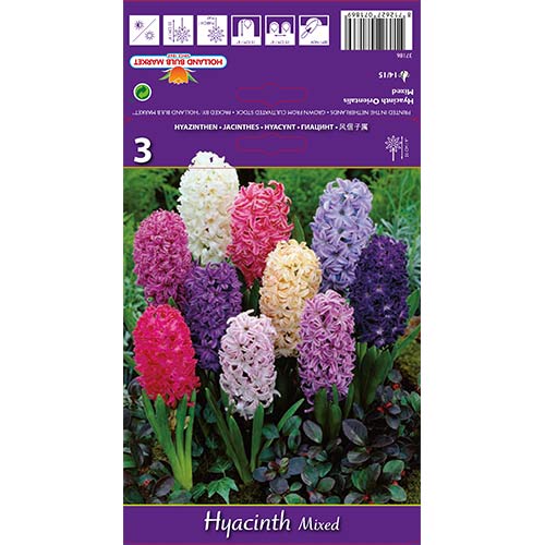 Hiacinte Spring Palette, krāsu mix interface.image 1 interface.art 67598