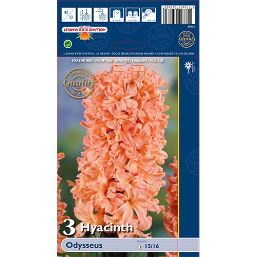 Hiacinte Odysseus interface.image 1 interface.art 68010