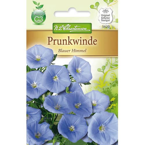 Ipomeja Blauer Himmel interface.image 1 interface.art 78984