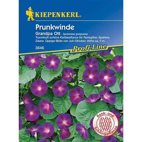 Ipomejas Grandpa Ott interface.image 1 interface.art 87256