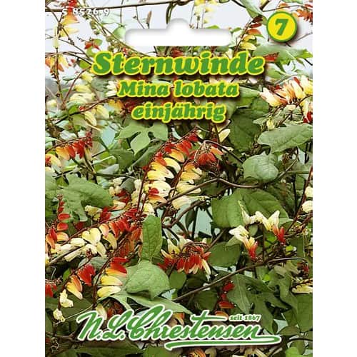 Ipomejas Mino Lobada interface.image 1 interface.art 96440