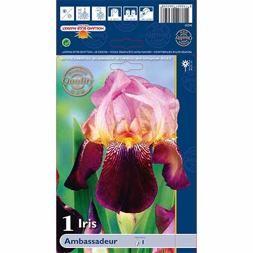 Īriss Ambassadeur interface.image 1 interface.art 76105