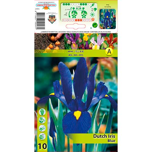 Īriss Blue interface.image 1 interface.art 76227