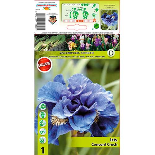 Īriss Concord Crush interface.image 1 interface.art 76286