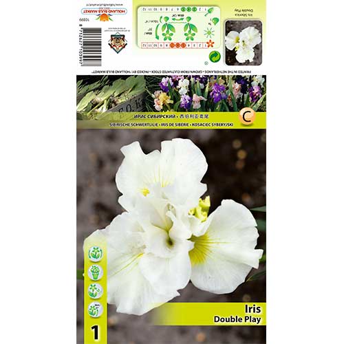 Īriss Double Play interface.image 1 interface.art 70420