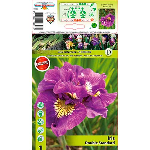 Īriss Double Standard interface.image 1 interface.art 76287