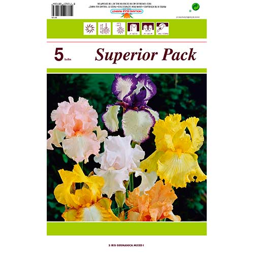 Īriss Germanica Mixed interface.image 1 interface.art 76464