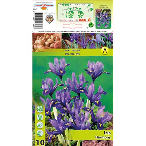 Tīkliņīriss Harmony interface.image 1 interface.art 67381