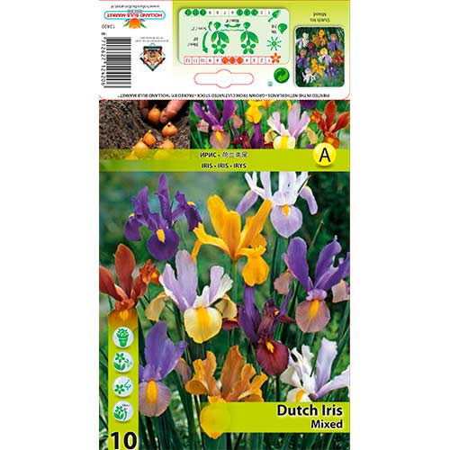 Īriss Mixed interface.image 1 interface.art 76229