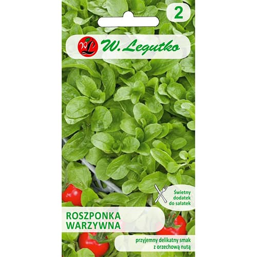 Jēra salāti Verte de Cambrai interface.image 1 interface.art 78497